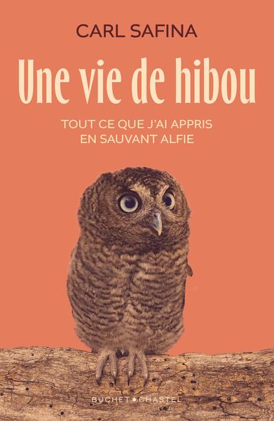 Une vie de hibou - Tout ce que j'ai appris en sauvant Alfie