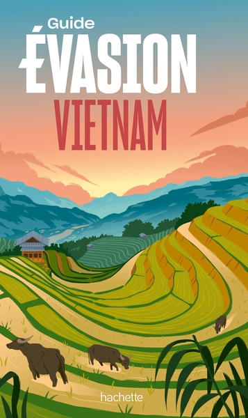 Vietnam Guide Evasion