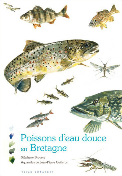 Poissons d’eau douce en Bretagne