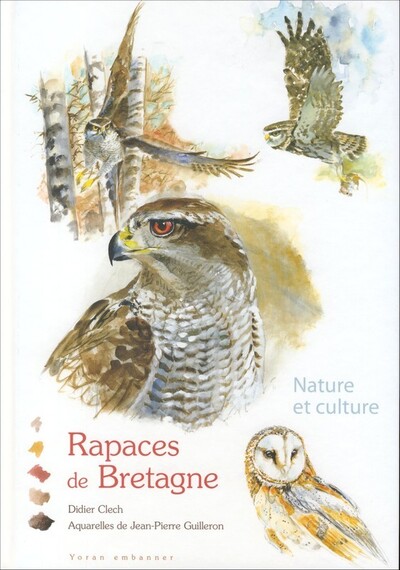 Rapaces de Bretagne