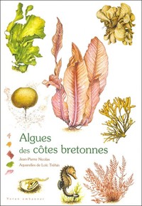 Algues des côtes bretonnes