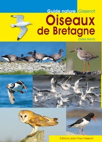 Oiseaux de Bretagne