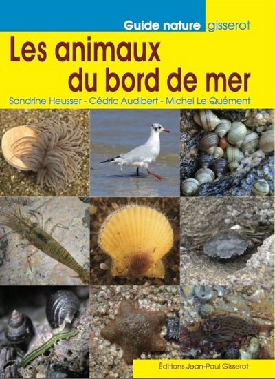 Les animaux du bord de mer