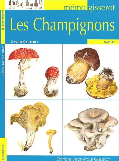 Mémo - Les champignons