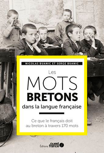 Les mots bretons dans la langue française