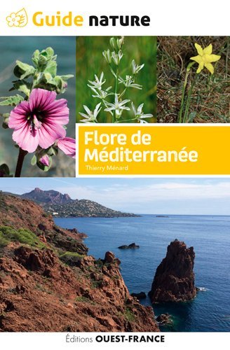 Flore de méditerrannée