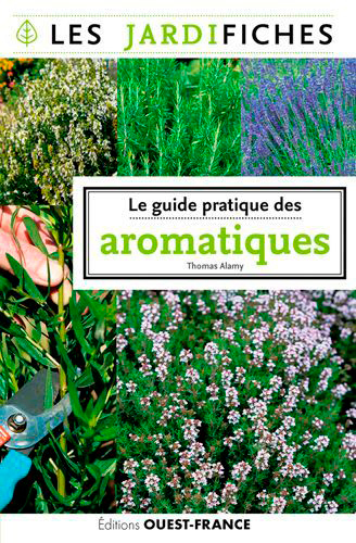 Le guide pratique des aromatiques