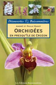 Orchidées en Presqu'île de Crozon