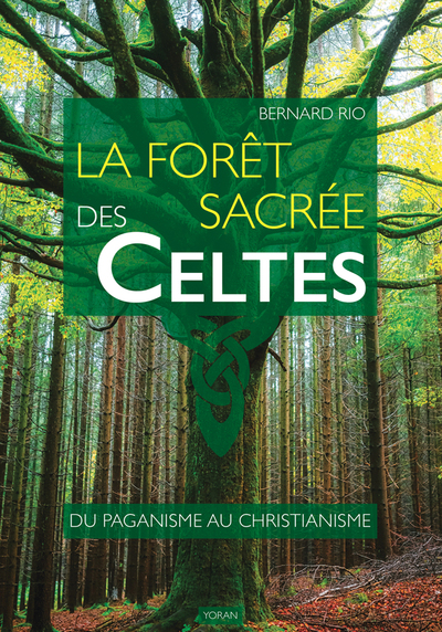 La forêt sacrée des Celtes