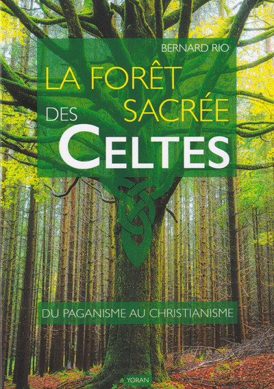 La forêt sacrée des Celtes