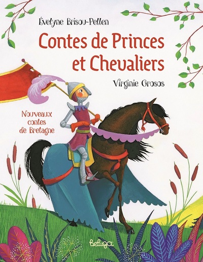 Contes de princes et chevaliers
