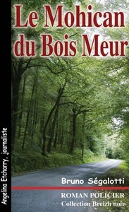 Le Mohican du bois Meur