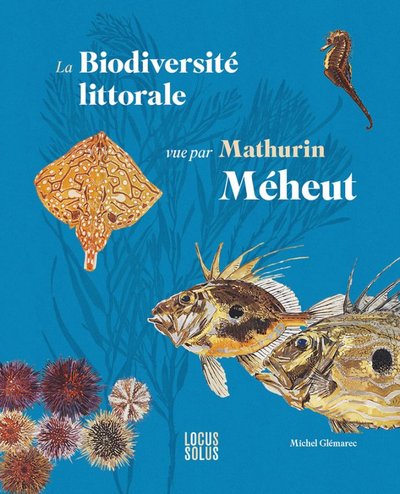 La biodiversité littorale vue par Mathurin Méheut