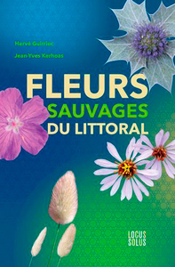 Fleurs Sauvages Du Littoral
