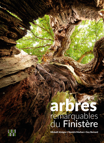 Arbres Remarquables Du Finistere