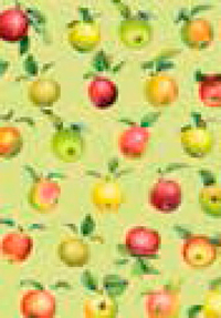 Carnet 08- Pommes