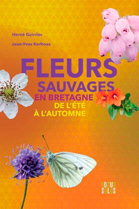 Fleurs Sauvages En Bretagne, De L'Été À L'Automne