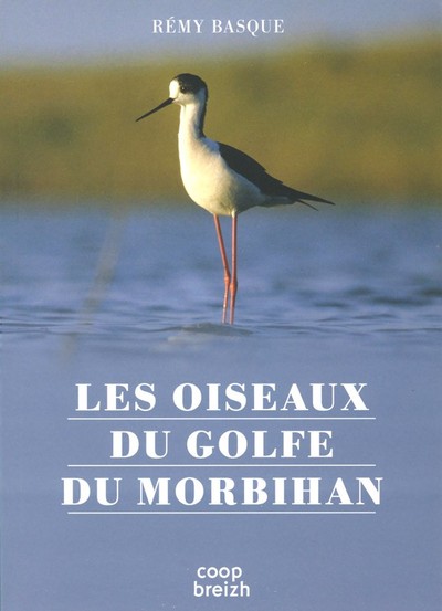 Les oiseaux du golfe du Morbihan