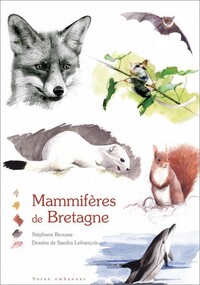 Mammifères en Bretagne