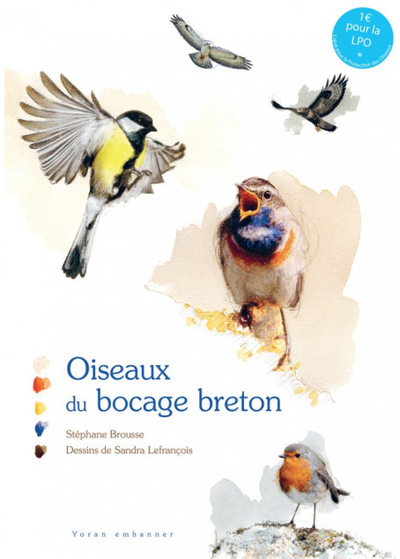 Oiseaux du bocage breton