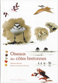Oiseaux des côtes bretonnes