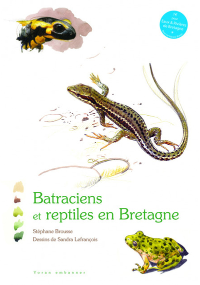Batraciens et reptiles en Bretagne