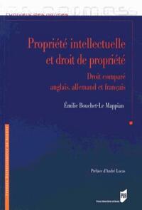 PROPRIETE INTELLECTUELLE ET DROIT DE PROPRIETE