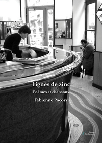 Lignes de zinc