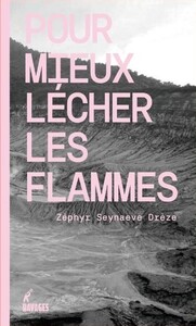 Image de Pour mieux lécher les flammes
