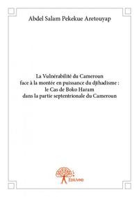 Image de La vulnérabilité du cameroun face à la montée en puissance du djihadisme : le cas de boko haram  dans la partie septentrionale du cameroun