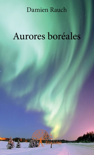Picture of Aurores boréales
