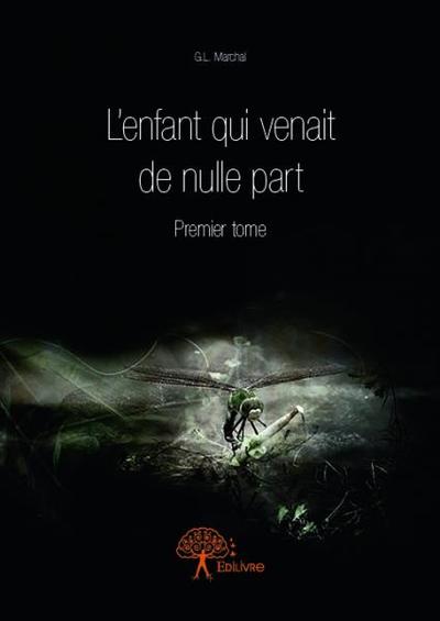 Image de L’enfant qui venait de nulle part