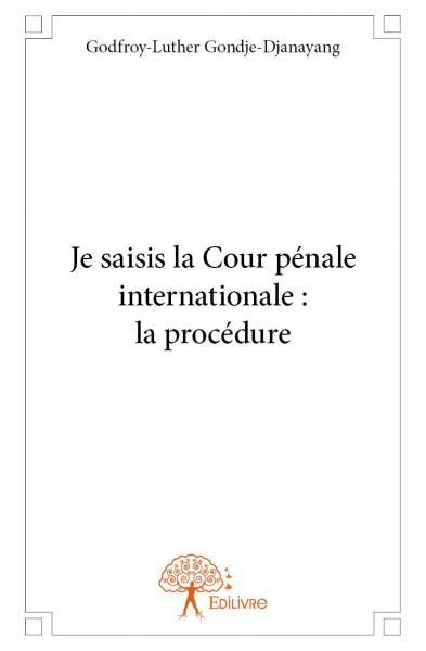 Image de Je saisis la cour pénale internationale : la procédure