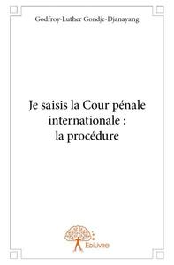 Image de Je saisis la cour pénale internationale : la procédure