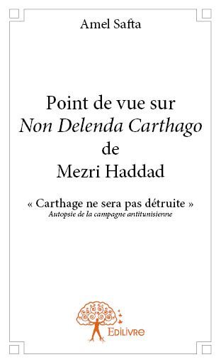 Image de Point de vue sur non delenda carthago de mezri haddad