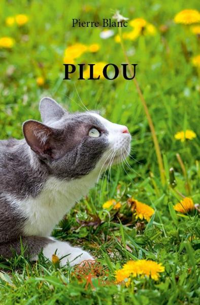Picture of Pilou