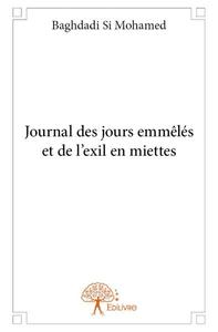 Image de Journal des jours emmêlés et de l'exil en miettes