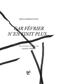 Image de CAR FÉVRIER N’EN FINIT PLUS…