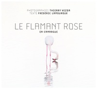 Picture of LE FLAMANT ROSE EN CAMARGUE