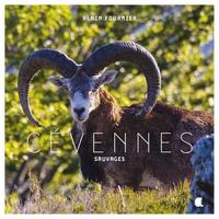 Picture of CEVENNES SAUVAGES