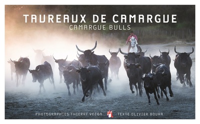 Image de TAUREAUX DE CAMARGUE - FOCUS