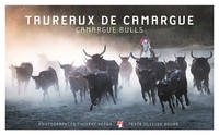 Image de TAUREAUX DE CAMARGUE - FOCUS