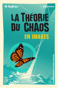 Image de La théorie du chaos en images