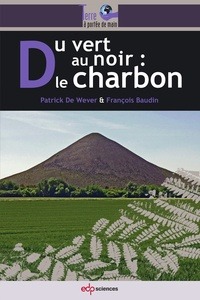 Picture of Du vert au noir le charbon
