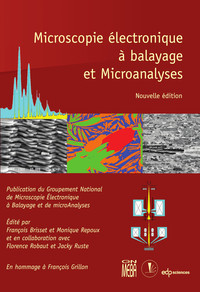 Picture of Microscopie électronique à balayage et Microanalyses