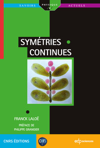 Picture of Symétries continues