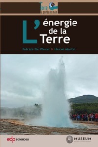 Picture of energie de la terre (l')