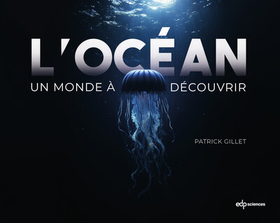 Picture of L'océan