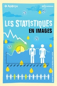 Picture of statistiques en images (les)