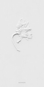 Image de Ephemeral Field Journal